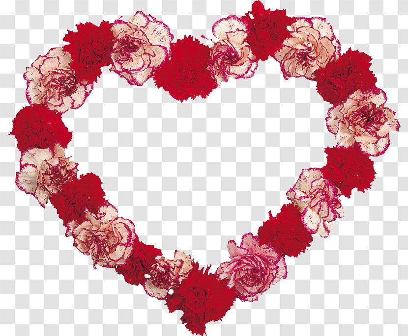 Floral Design Carnation Flower - Love Transparent PNG