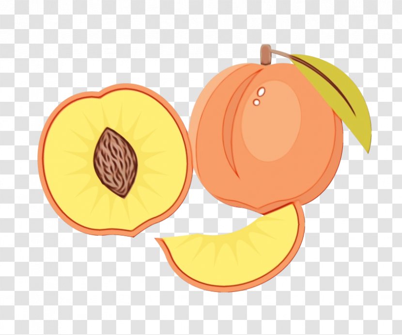 Orange - Yellow - Grapefruit Plant Transparent PNG