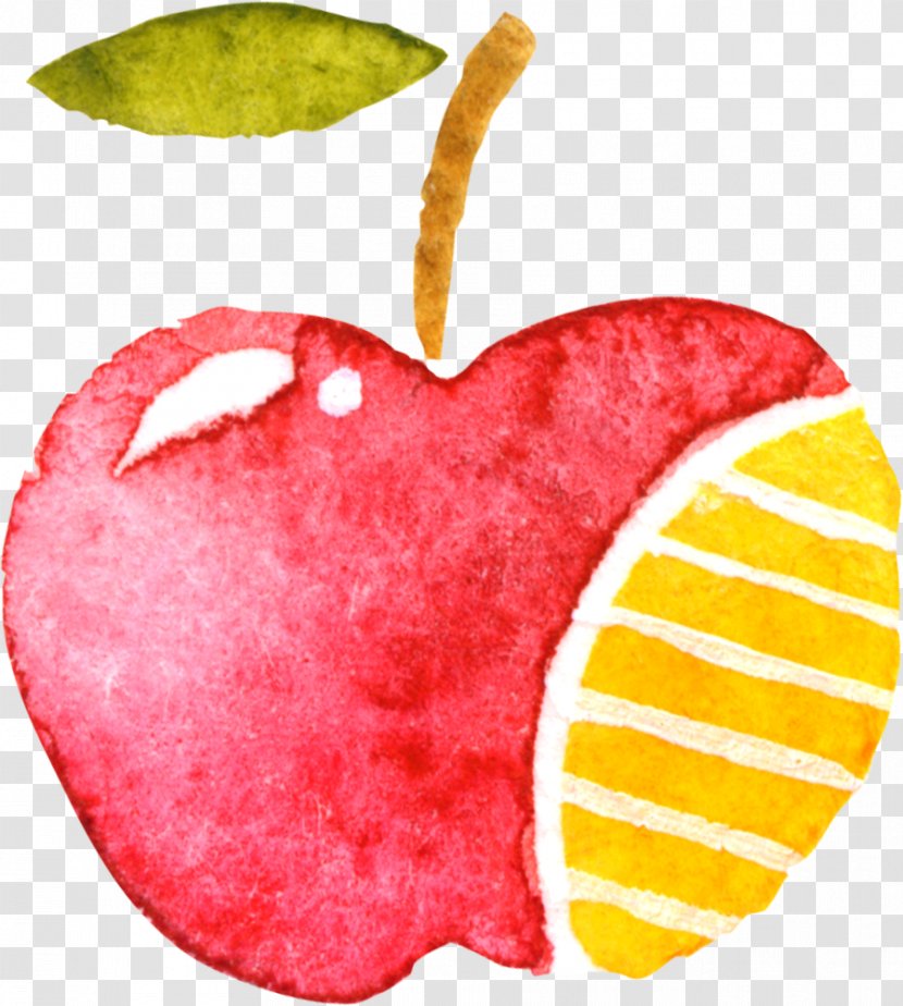 Apple Drawing - Hand-painted Red Transparent PNG