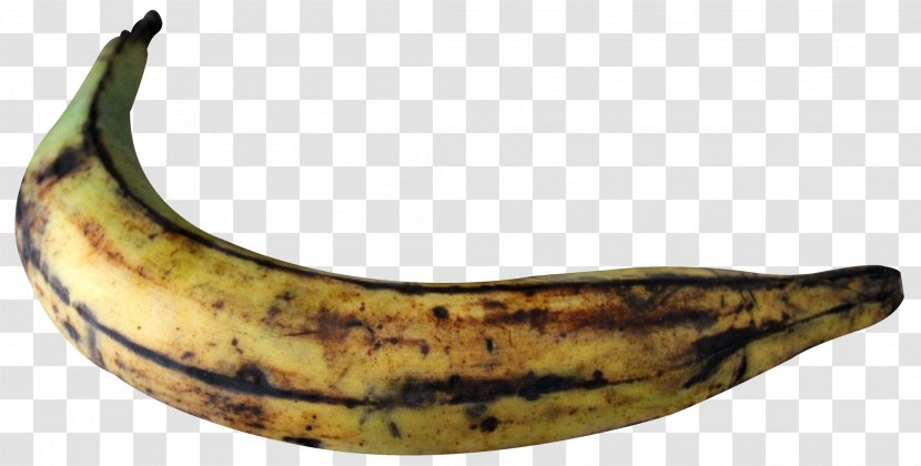 Cooking Banana - Food - Plantain Transparent PNG