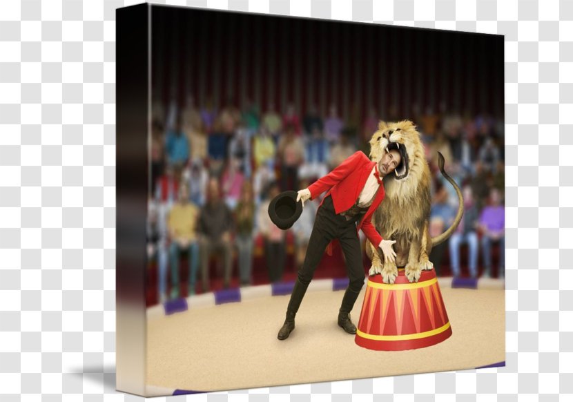 Lion Taming Tiger Entertainment Circus - Darwin Awards - Dance Transparent PNG