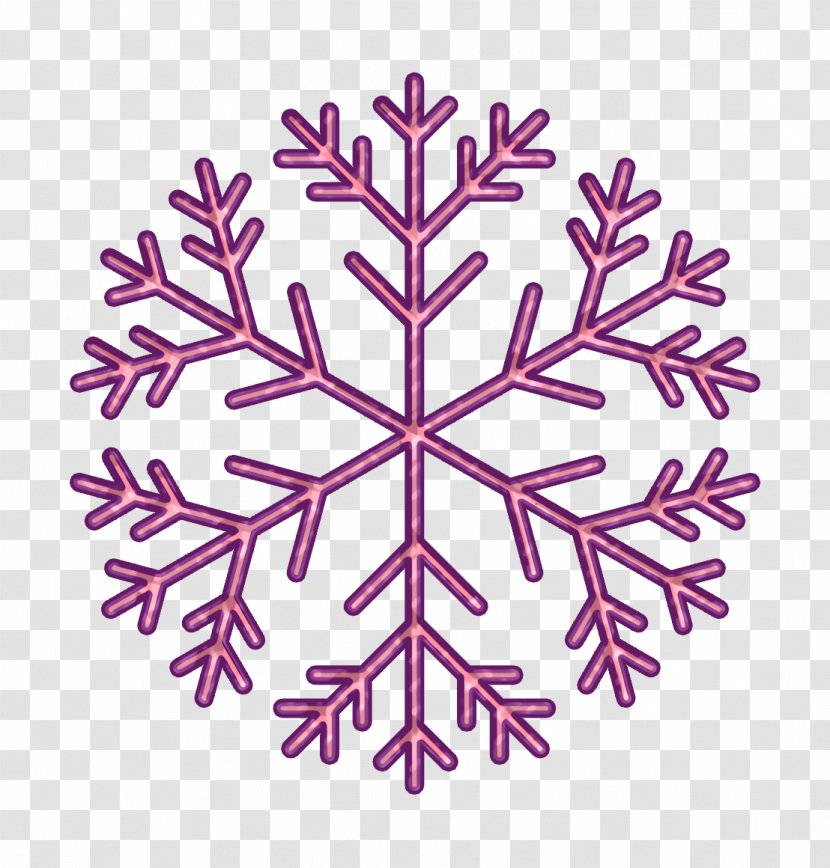Christmas Icon Holiday Season - Snowflake - Plant Transparent PNG