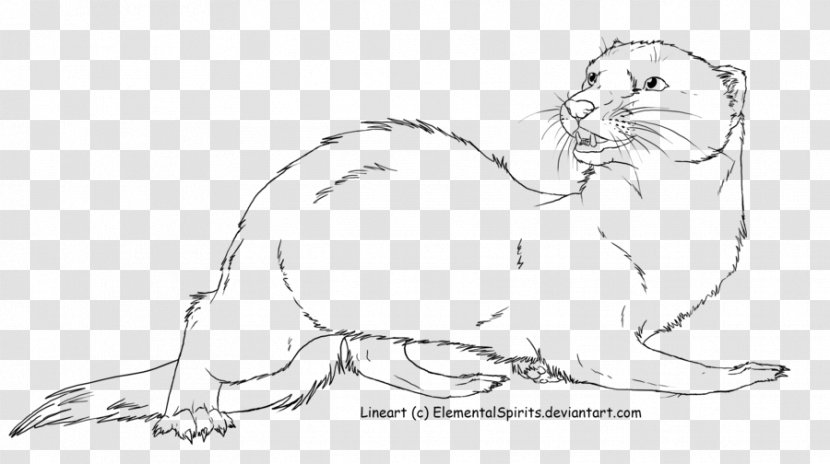 Whiskers Cat Ferret Lion Stoat - Tail Transparent PNG