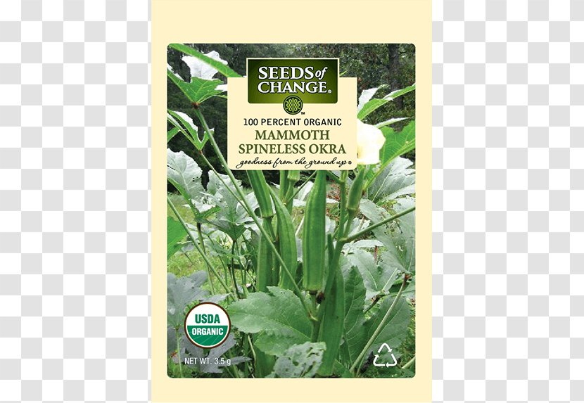 Okra Herb Our Mammoth Vegetable Crops Of India Transparent PNG