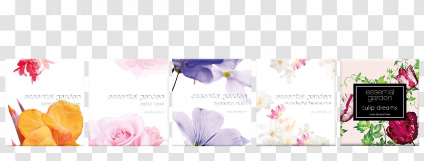 Floral Design Brand Font - Text - Perfume Transparent PNG