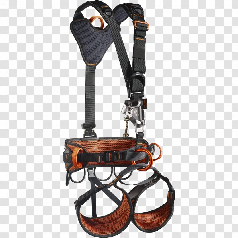Climbing Harnesses SKYLOTEC Rescue Carabiner Ascender - Bit - Sports Equipment Transparent PNG
