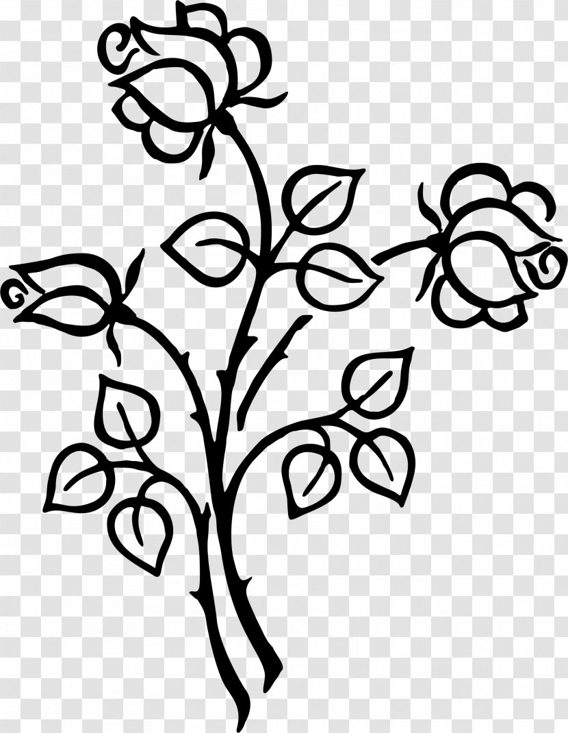 Floral Design Line Art Clip - Plant Stem Transparent PNG