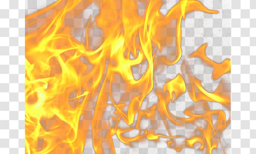 Flame Fire Light - Flower - Taobao Details Material Transparent PNG