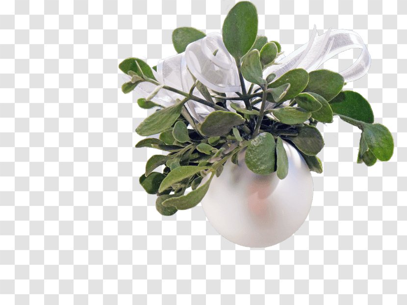 Flowerpot Leaf Branching - Vase - Mistletoe. Transparent PNG