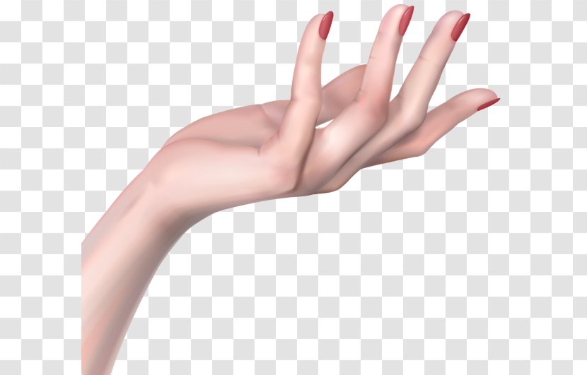 Woman Hand Clip Art Transparent PNG