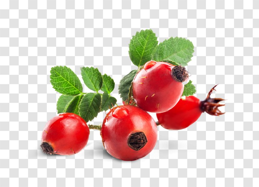 Gooseberry Rose Hip Zante Currant Dog-rose Tea - Local Food - Oil Transparent PNG