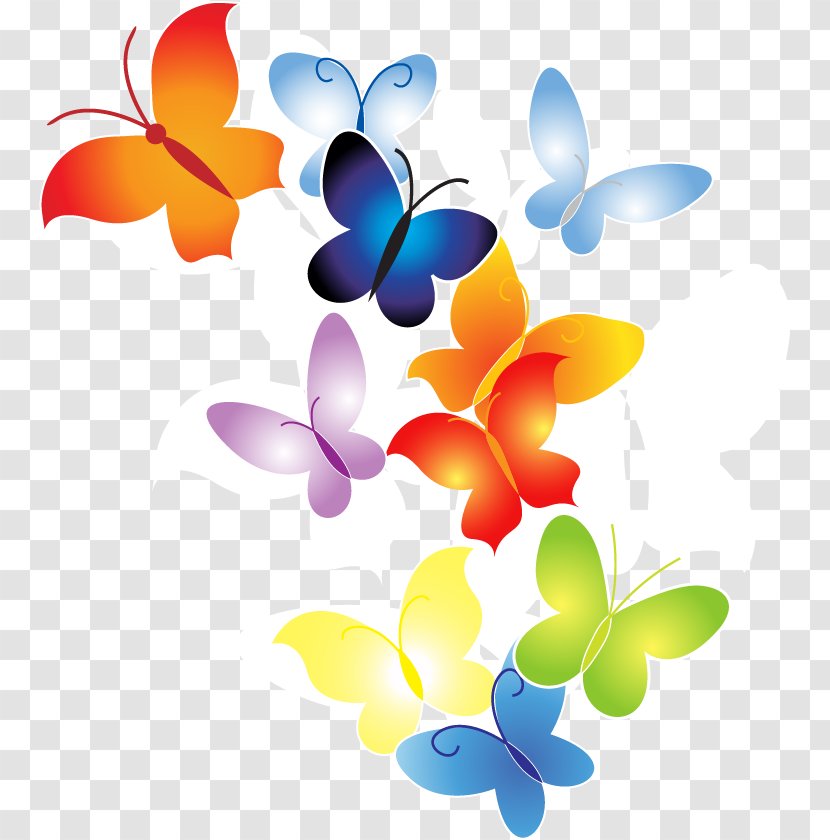 Butterfly Vector Graphics Illustration Image Clip Art - Royaltyfree Transparent PNG