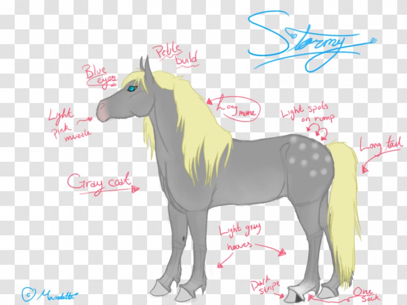 Mustang Mane Pony Stallion Colt - Tail Transparent PNG