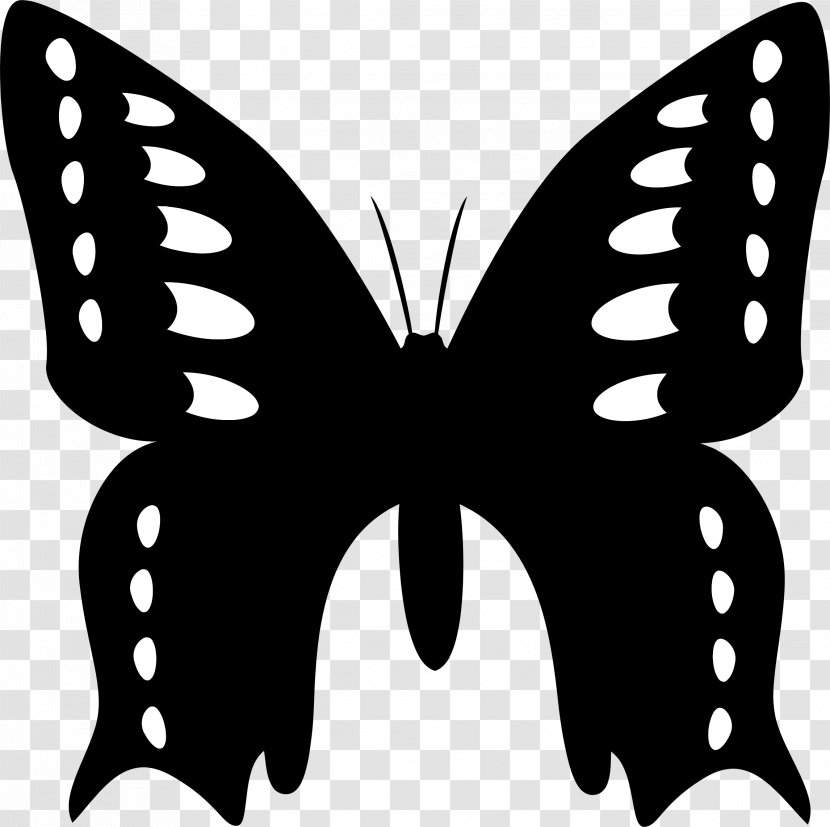 Butterfly Clip Art - Symmetry - Insect Transparent PNG