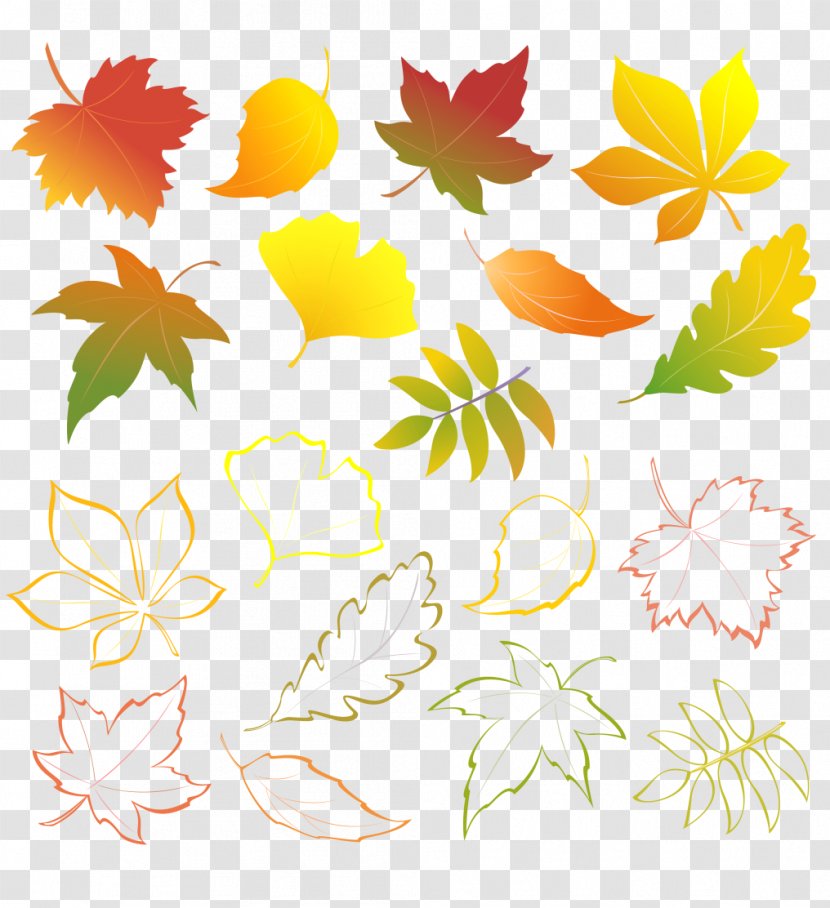Autumn Leaves Leaf Color - Green Transparent PNG