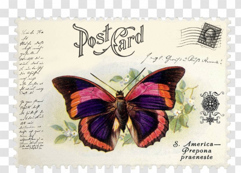 Brush-footed Butterflies Postage Stamps Mail Butterfly Prepona Praeneste - Insect Transparent PNG