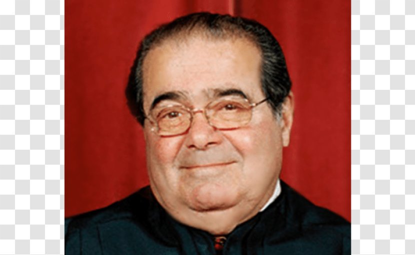 Antonin Scalia Supreme Court Of The United States FCC V. Fox Television Stations, Inc. Judge - Cheek - Lawyer Transparent PNG