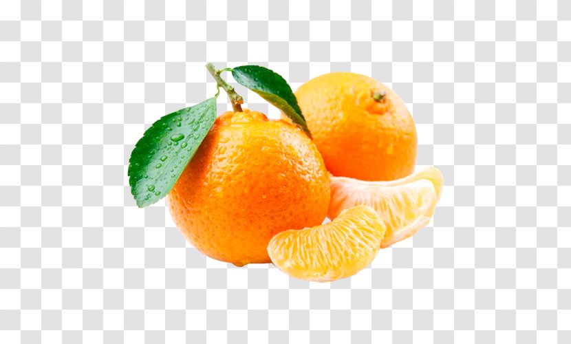 Orange Juice Mandarin Tangerine Sorbet Transparent PNG