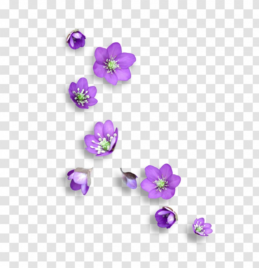 Flower Icon - Gemstone - Small Floral Transparent PNG