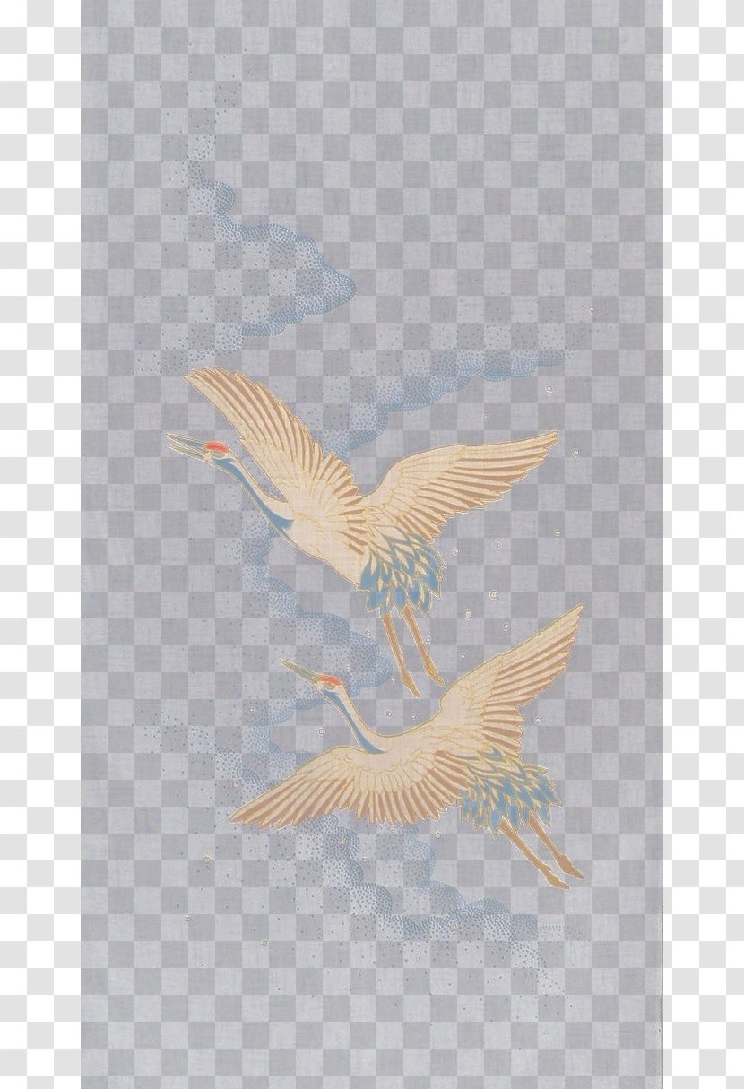 Wing Feather Beak - Fauna - Crane Transparent PNG