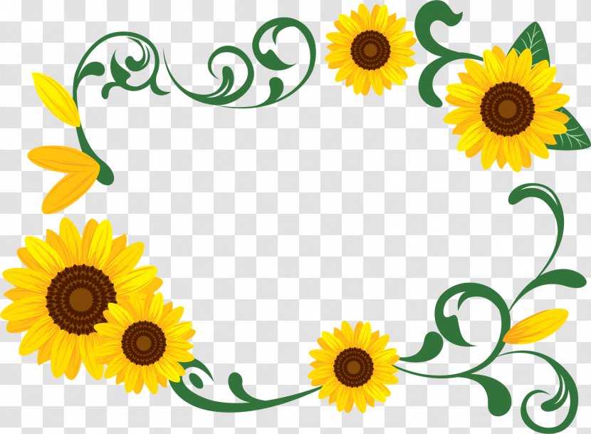 Common Sunflower Photography Download - Plant - Summer Season Transparent PNG