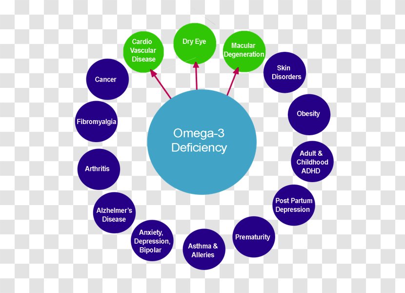 Omega-3 Fatty Acids Fish Oil Bracelet Jewellery Necklace - Health - Fats Transparent PNG