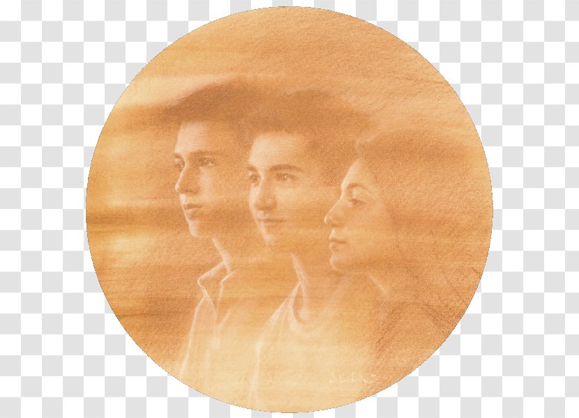 Wood /m/083vt Forehead Transparent PNG