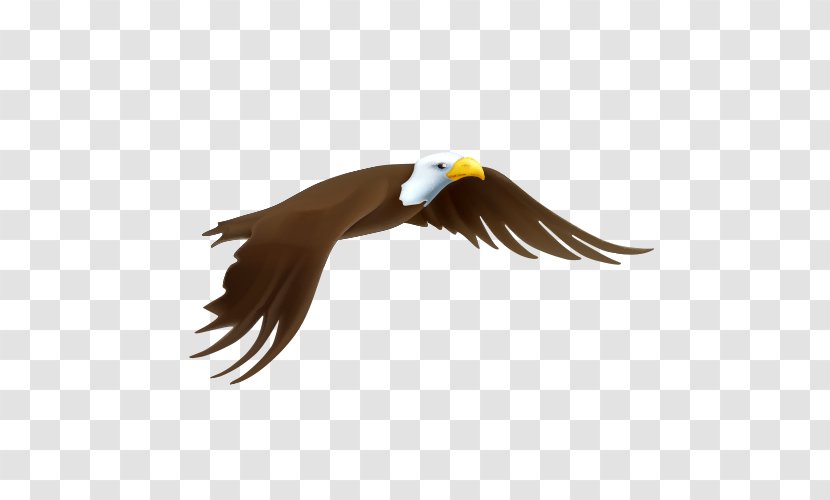 Bald Eagle Drawing - Cartoon - Flying In The Air Transparent PNG