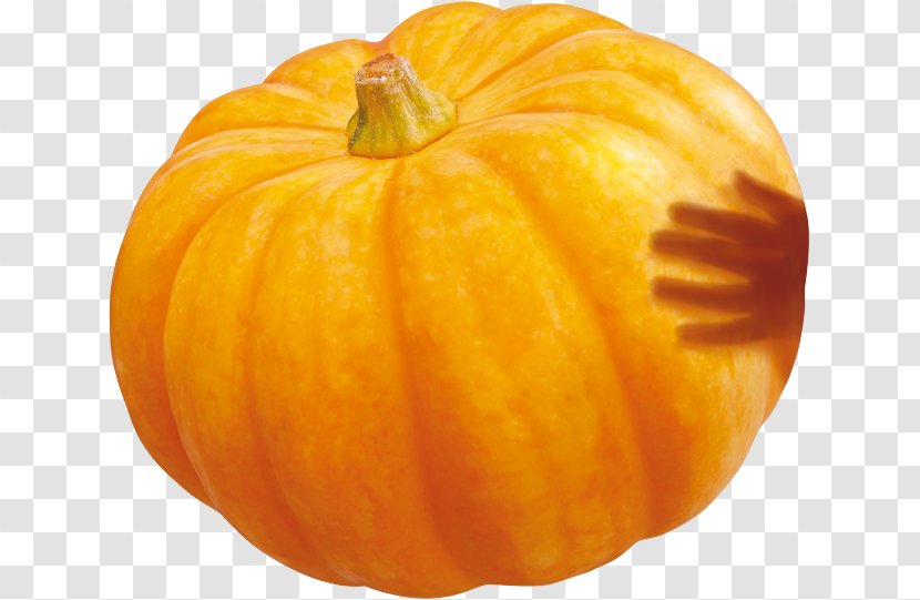 Pumpkin Calabaza Winter Squash Gourd - Resource Transparent PNG