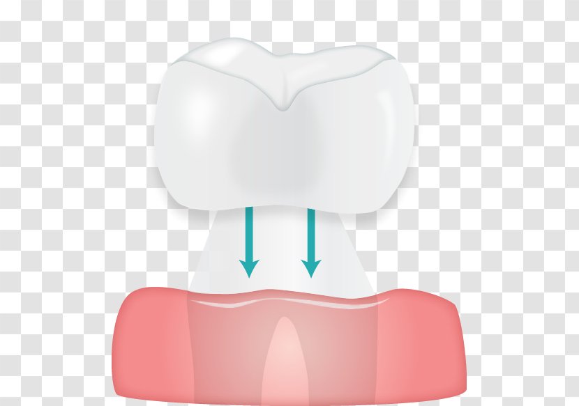 Tooth Jaw - Watercolor - Design Transparent PNG