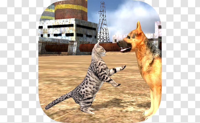 Homeless Cat Simulator Honey Bee Drive - Android Transparent PNG