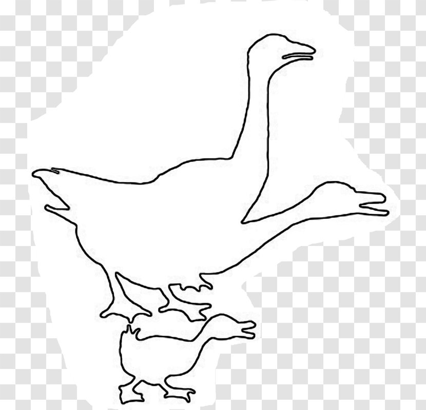Duck Goose Line Art Cartoon Clip - Walking Shoe Transparent PNG