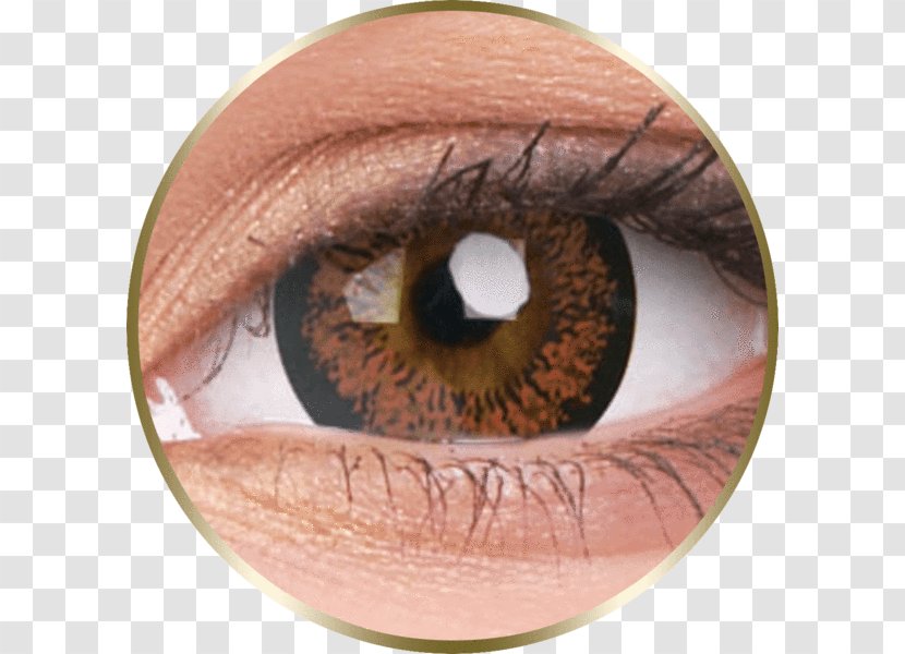 Contact Lenses Circle Lens Hazel Color - Eyelash - Lense Transparent PNG