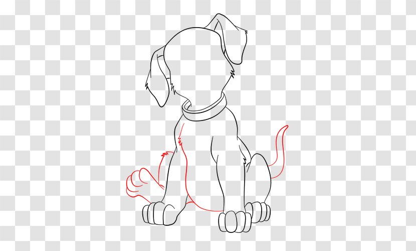Dog Breed Puppy Line Art Drawing Clip - Frame Transparent PNG