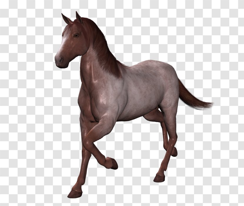 Long-haired Chihuahua Mustang Animal Stallion - Figure - Caballo Transparent PNG