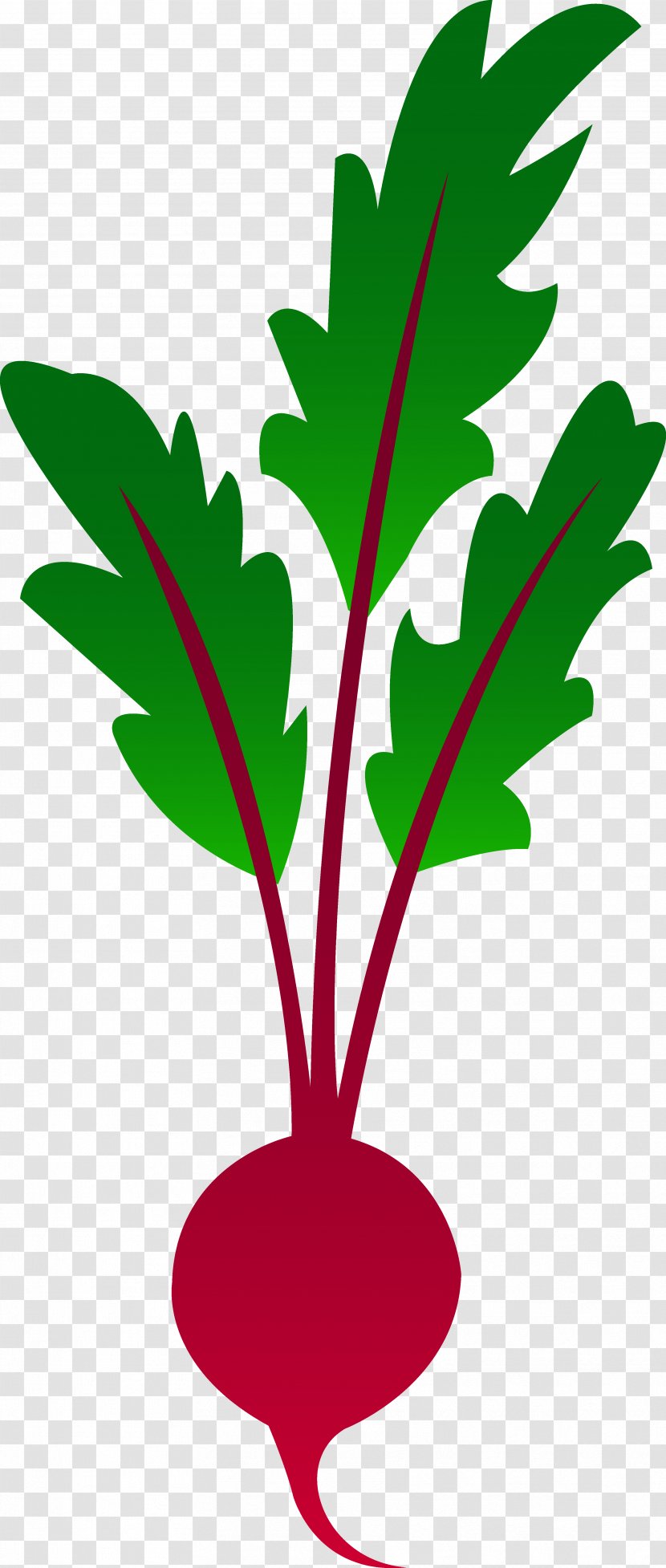 Beetroot Vegetable Clip Art - Leaf - Garden Clipart Transparent PNG
