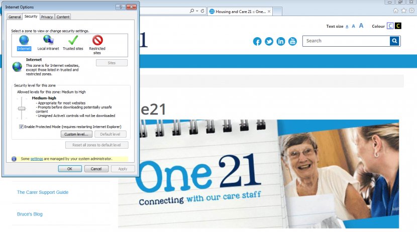 Online Advertising Web Page Display Multimedia - Internet Explorer Transparent PNG