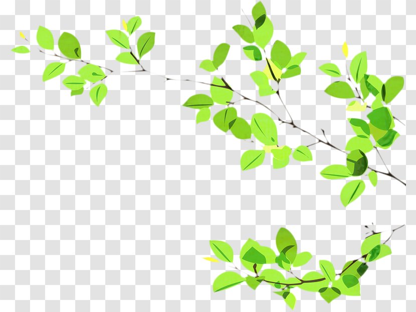 Green Leaf Background - Plant Stem Flower Transparent PNG