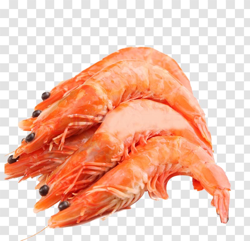 Caridea Prawn Shrimp Seafood - Food - Fish And Lobster Image Transparent PNG