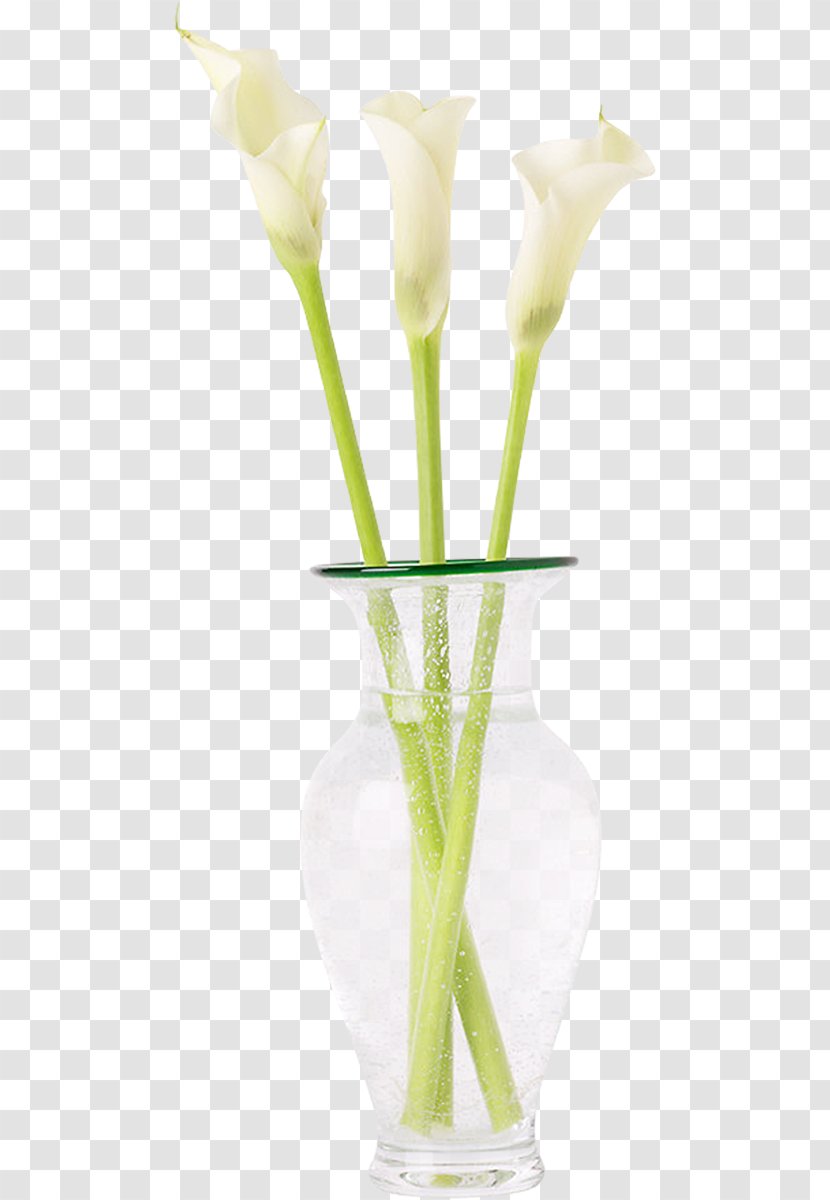 Floral Design Cut Flowers Vase Flower Bouquet Transparent PNG