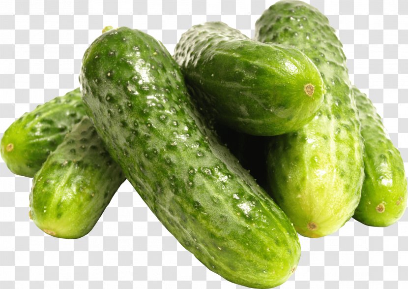 Cucumber Desktop Wallpaper Clip Art - Vegetable - Cabbage Transparent PNG