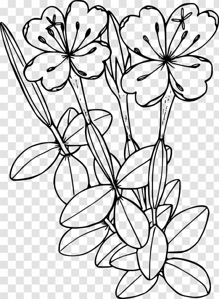 Wildflower Drawing Line Art Clip - Branch - Flower Transparent PNG