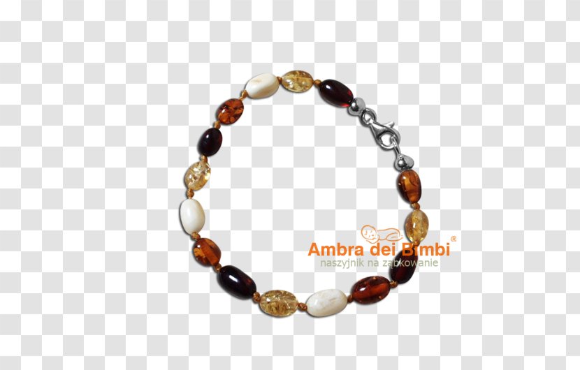 Baltic Amber Necklace Bracelet Bead Transparent PNG