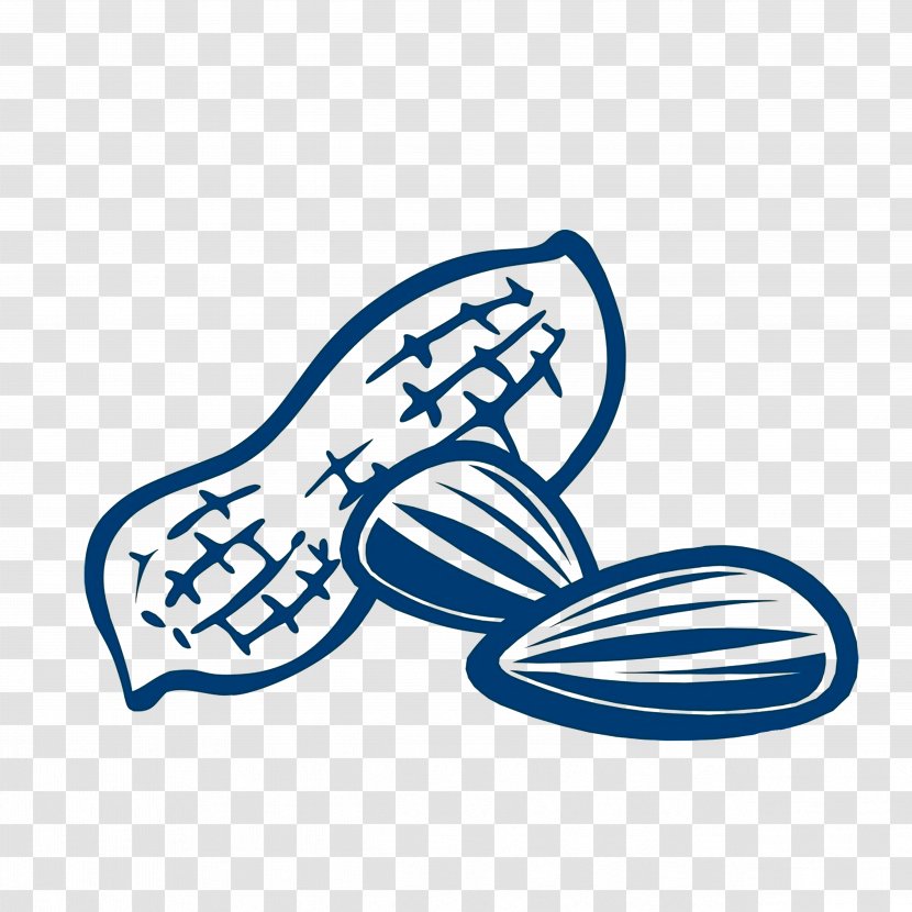 Peanut Kuaci Drawing Snack - Logo - Melon Seeds Peanuts Transparent PNG