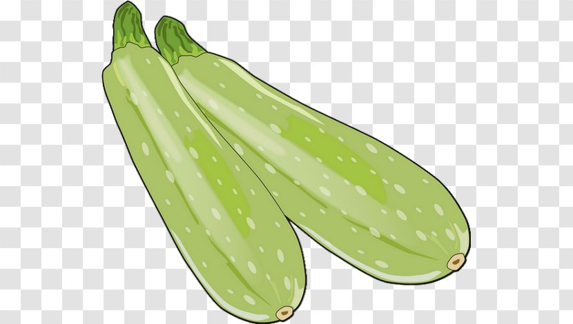 Pickled Cucumber Zucchini Summer Squash Drawing - Cooking Banana - Zuchini Transparent PNG