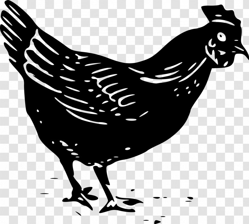 Plymouth Rock Chicken Kifaranga Rooster Fowl Clip Art - Wing - Small Transparent PNG
