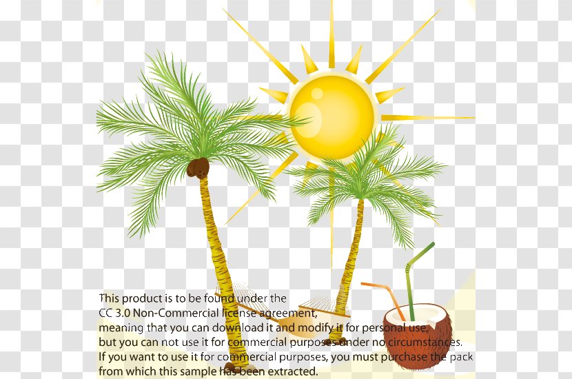 Arecaceae Coconut Euclidean Vector Clip Art - Tree - Coco Sun Poster Transparent PNG