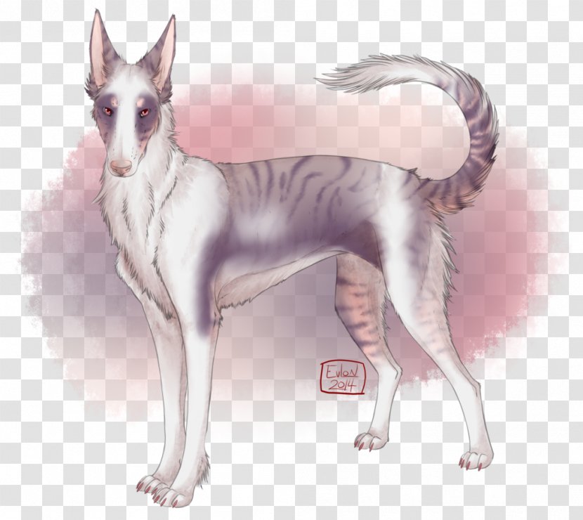 Seppala Siberian Sleddog Saarloos Wolfdog Canaan Dog Breed Cat Transparent PNG