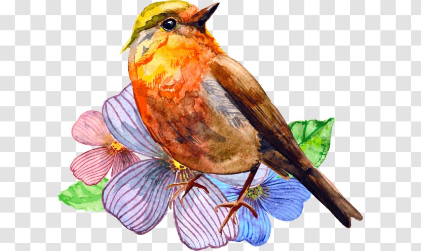 Watercolor Painting Bird Art - Flower Transparent PNG