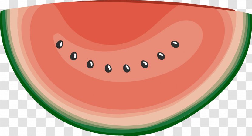 Watermelon Angle - Fruit - Vector Painted Transparent PNG